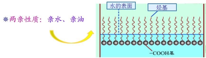 <a href='http://m.2468266.com/product/product-0001,0011,0018.shtml' class='keys' title='點(diǎn)擊查看關(guān)于潤濕劑的相關(guān)信息' target='_blank'>潤濕劑</a>